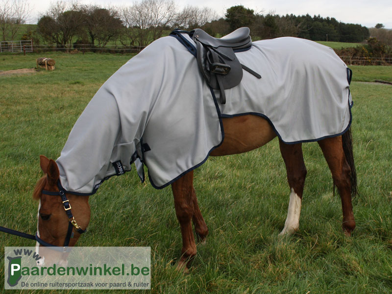 Paardenwinkel.be - Riding