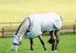 Buzz off mask en classic 1