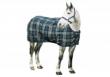 Celtic stable pony