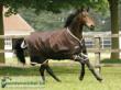 Horseware rambo california 1