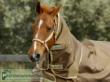 Paardenwinkel.be bucas smartex combi neck brown gold