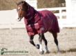 Rambo quarter horse waterproof blanket