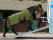 Shamrock and max loading black