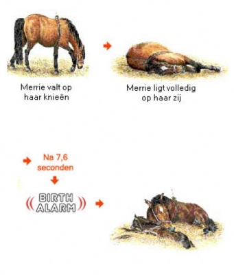 hoe_werkt_het_4a_400 hoe_werkt_het_4a_400