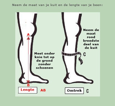 maatname_been_nederlands_1 maatname_been_nederlands_1