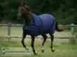 Aa paardenwinkel.be irish turnout classic cut navy gold