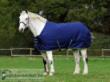 Bucas smartex big neck turnout rug