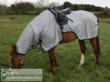 Buzz off riding grazing paardenwinkel.be 3466