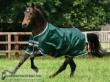 Horseware rambo original with leg arches turnout 1 small