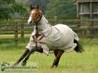 Horseware rambo protector galop