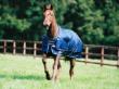 Smartex blue galloping front cropped